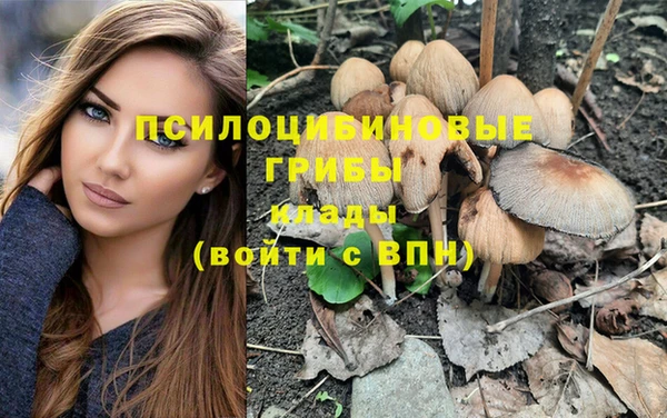 прущие крисы Беломорск