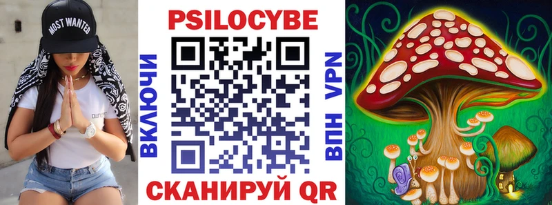Псилоцибиновые грибы Psilocybe  купить наркотик  Воскресенск 